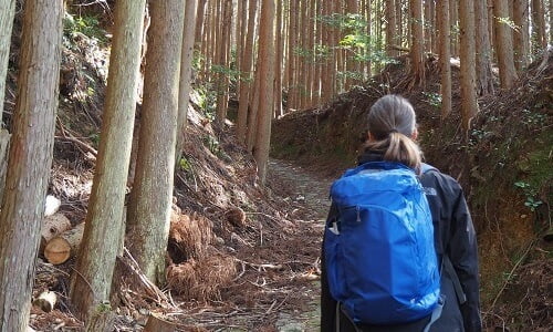 walking holidays tasmania